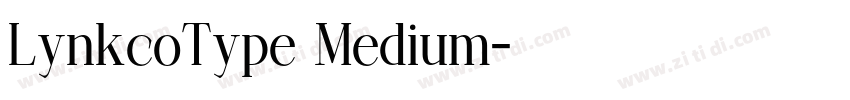 LynkcoType Medium字体转换 LynkcoType Medium字体转换